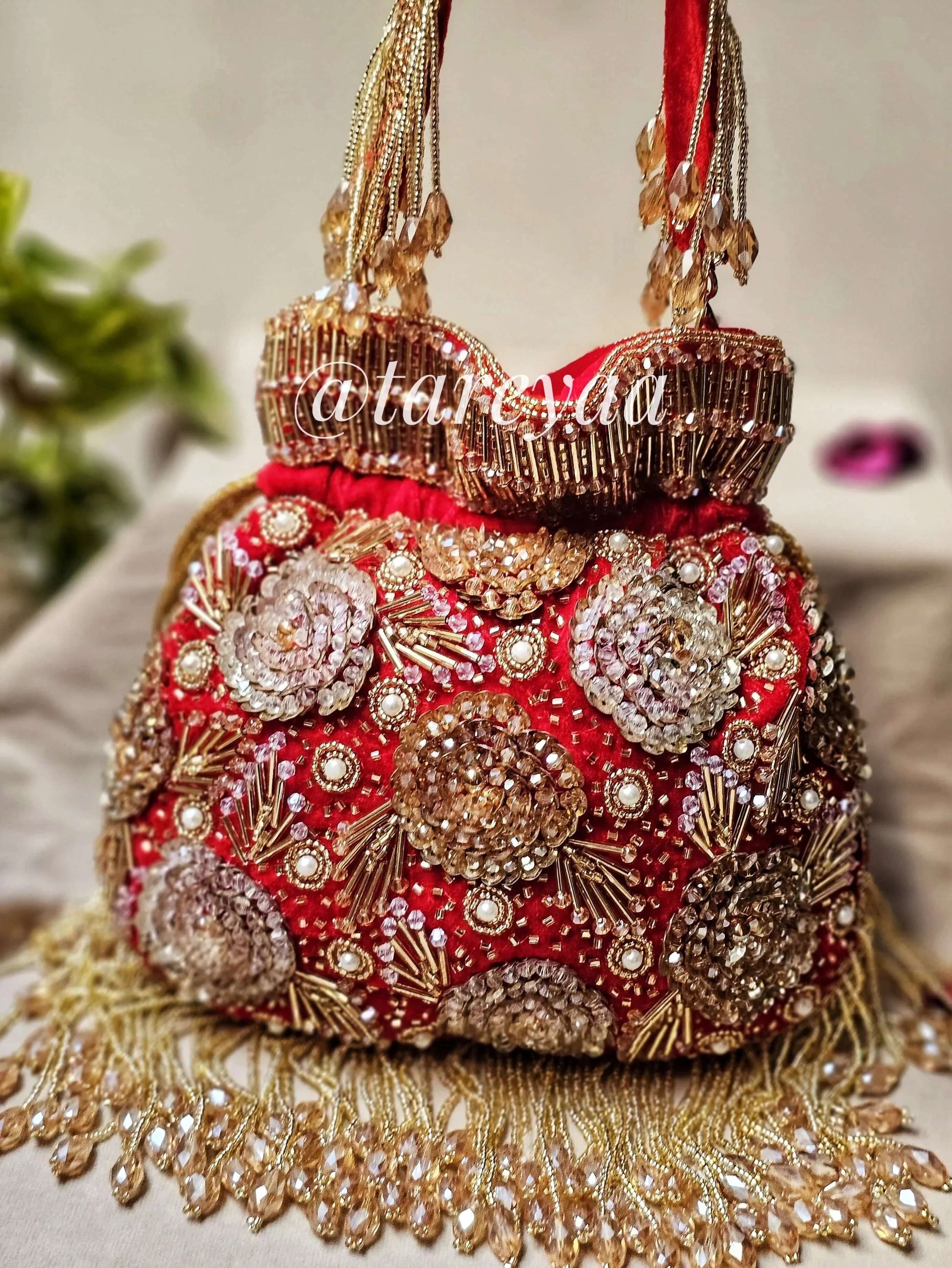 Amrapali Wedding Potli - Tareyaa