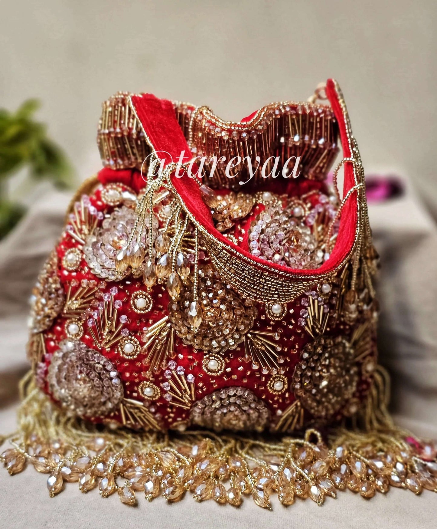 Amrapali Wedding Potli - Tareyaa